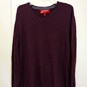 Arizona burgundy v-neck sweater